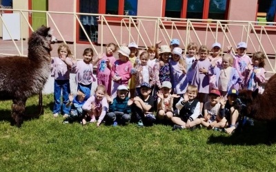 ALPAKI W DNIU DZIECKA 2026 (12)