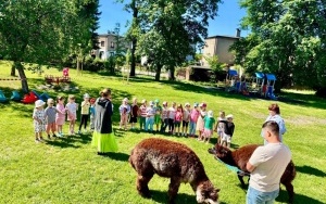 ALPAKI W DNIU DZIECKA 2026 (3)